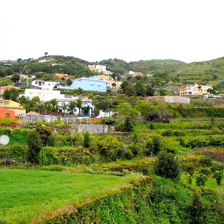 Canarian House Casa Esther In Icod De Los Vinos Εξωτερικό φωτογραφία
