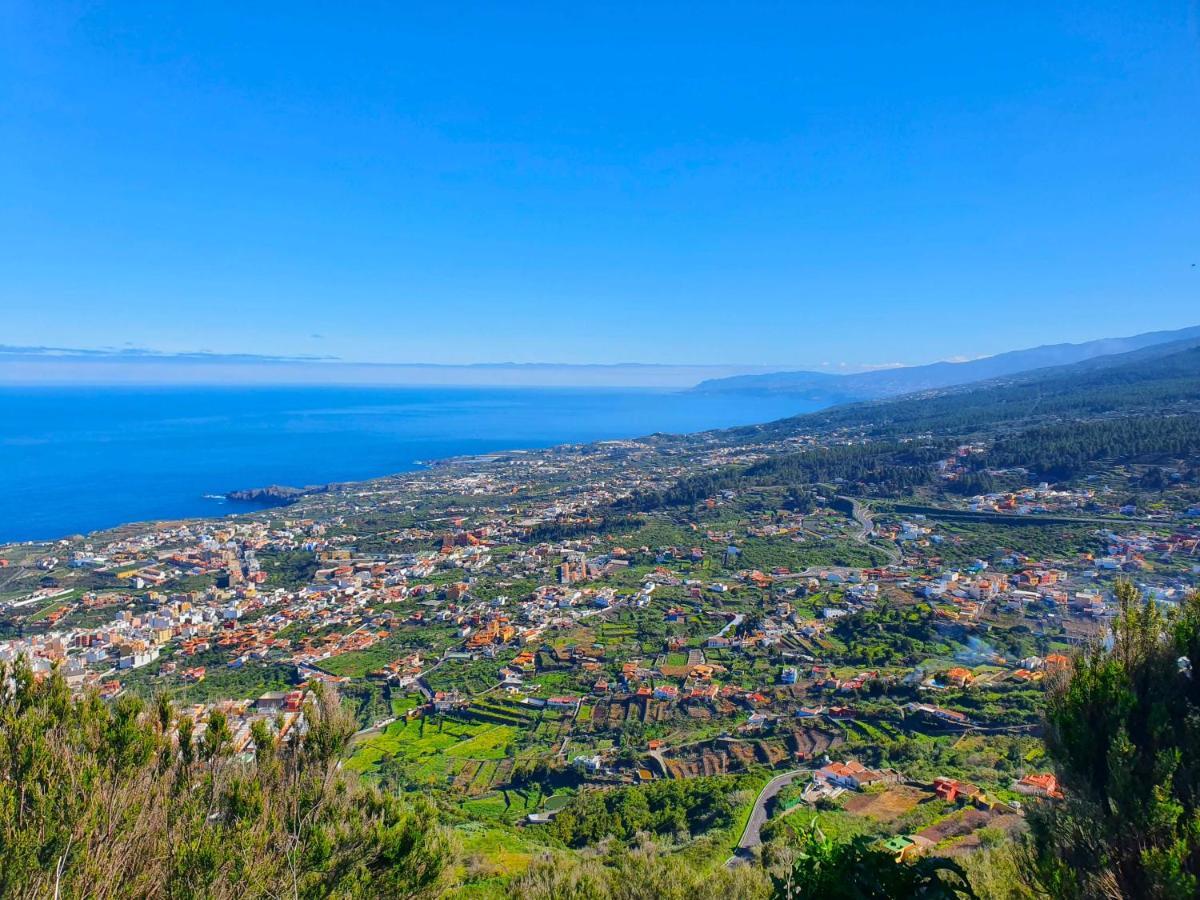Canarian House Casa Esther In Icod De Los Vinos Εξωτερικό φωτογραφία