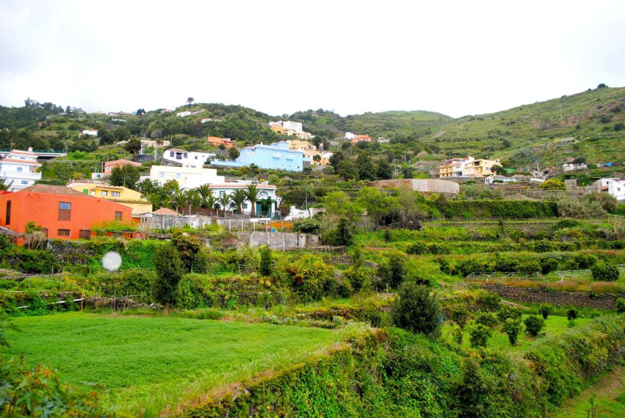 Canarian House Casa Esther In Icod De Los Vinos Εξωτερικό φωτογραφία